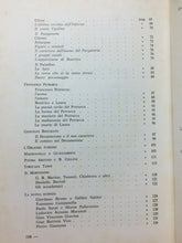 Carica l&#39;immagine nel visualizzatore di Gallery, LETTURE DESANCTISIANE L. COSTANZO H83
