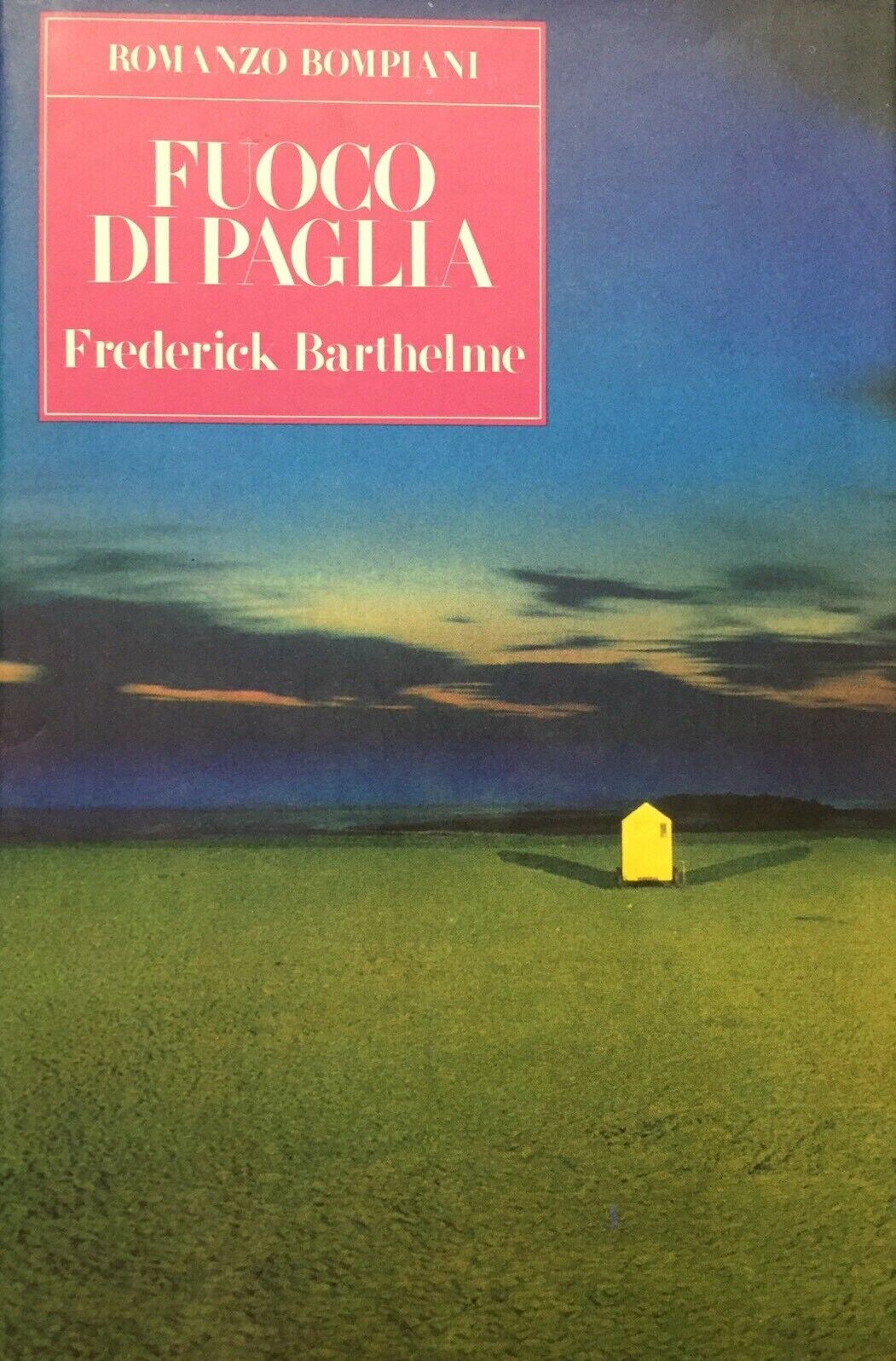 FUOCO DI PAGLIA F. BARTHELME I ED. 1990 H686