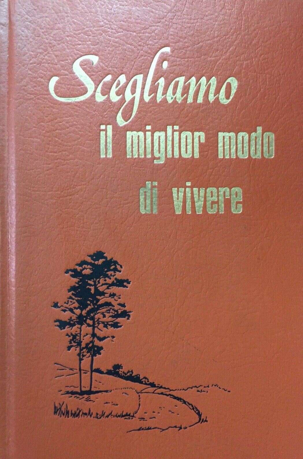 SCEGLIAMO IL MIGLIO MODO DI VIVERE TESTIMONI DI GEOVA H773
