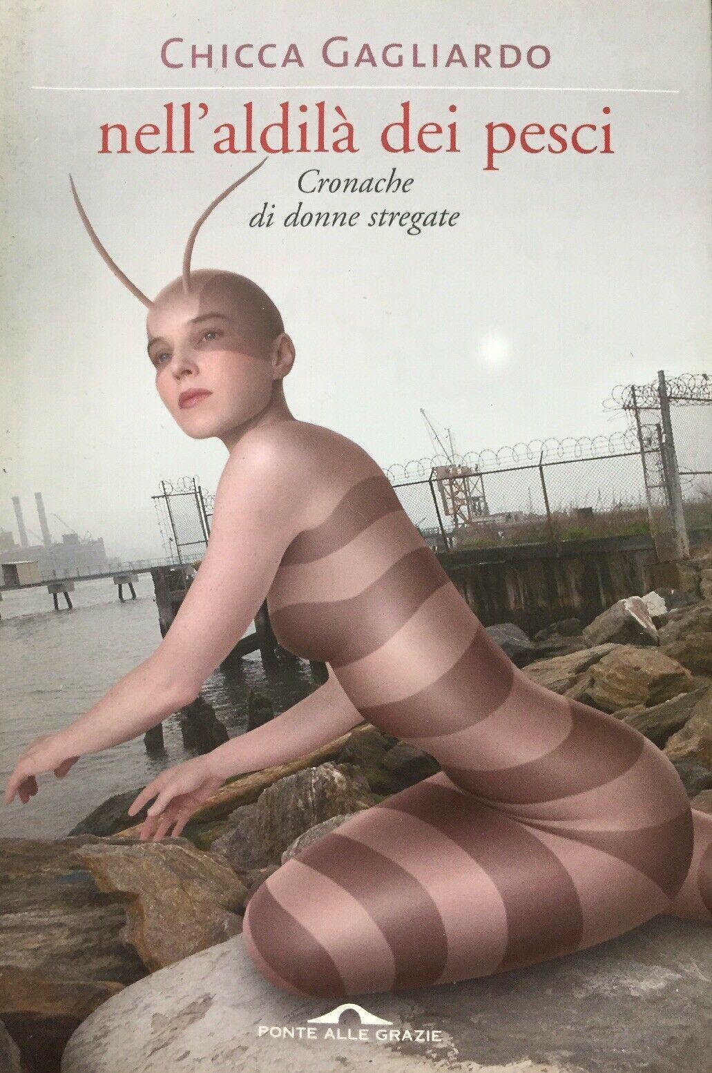 NELL’ALDILÀ DEI PESCI CRONACHE DI DONNE STREGATE C. GAGLIARDO J144