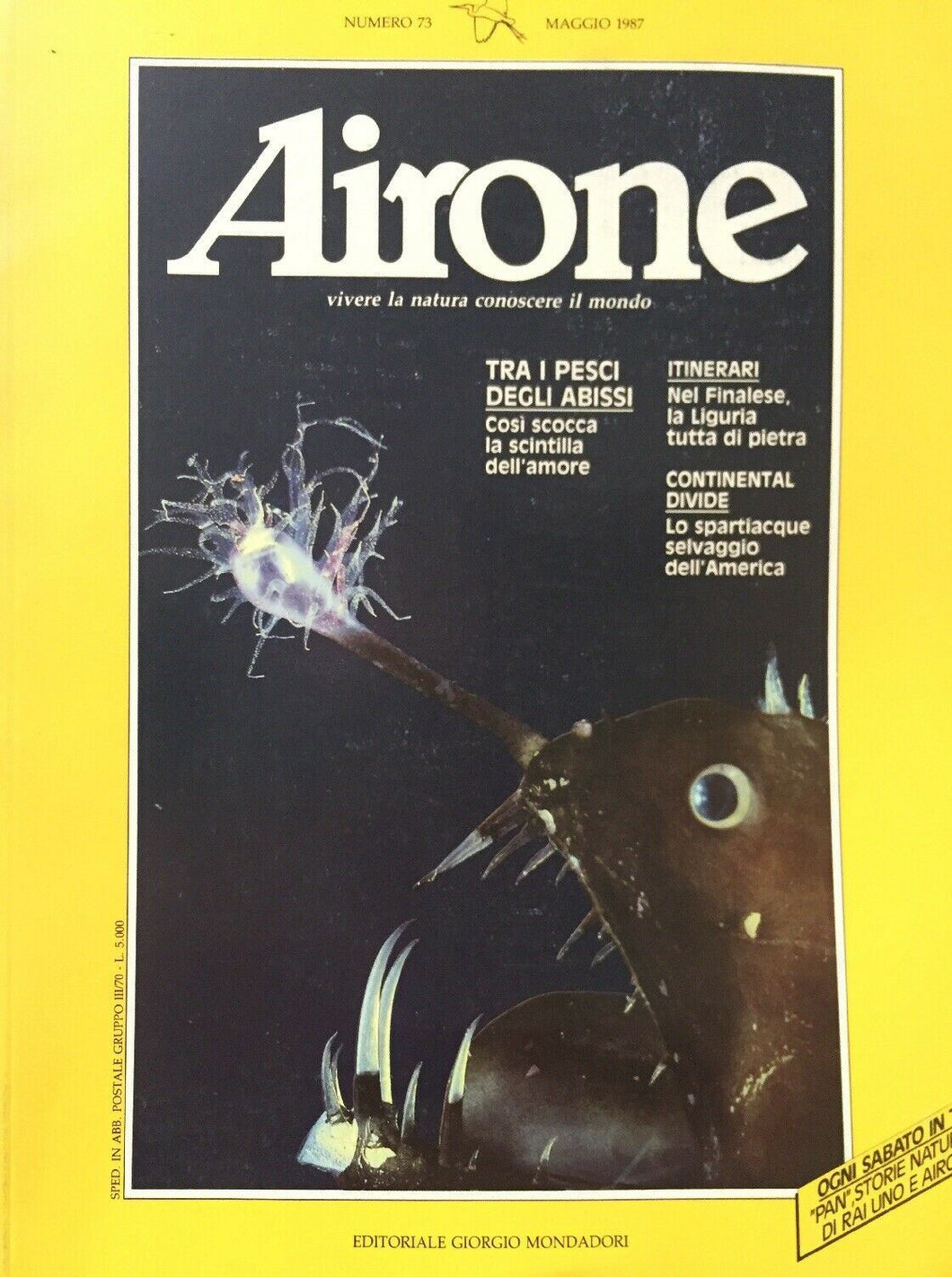 AIRONE N. 73 MAGGIO 1987 J159
