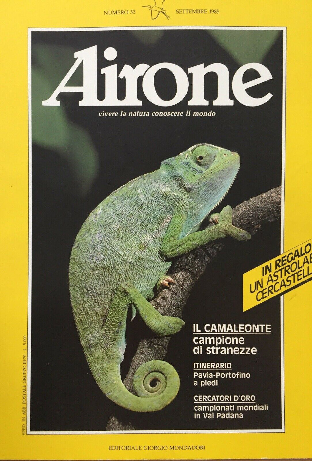 AIRONE N.53 SETTEMBRE 1985 J336