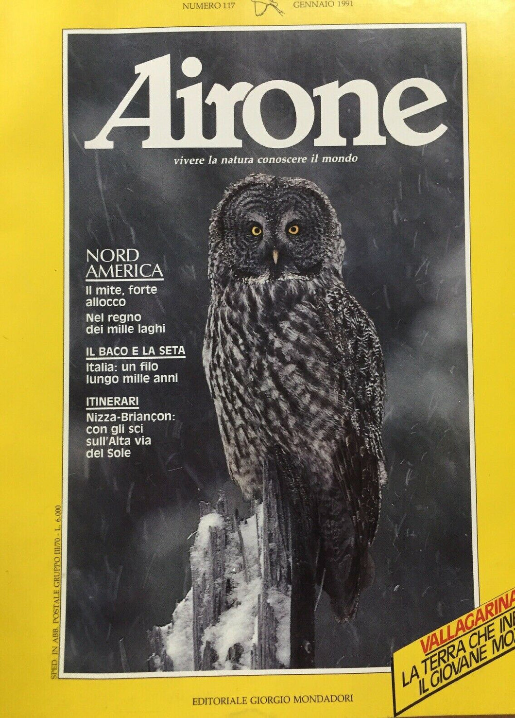 AIRONE N.117 GENNAIO 1991 J343