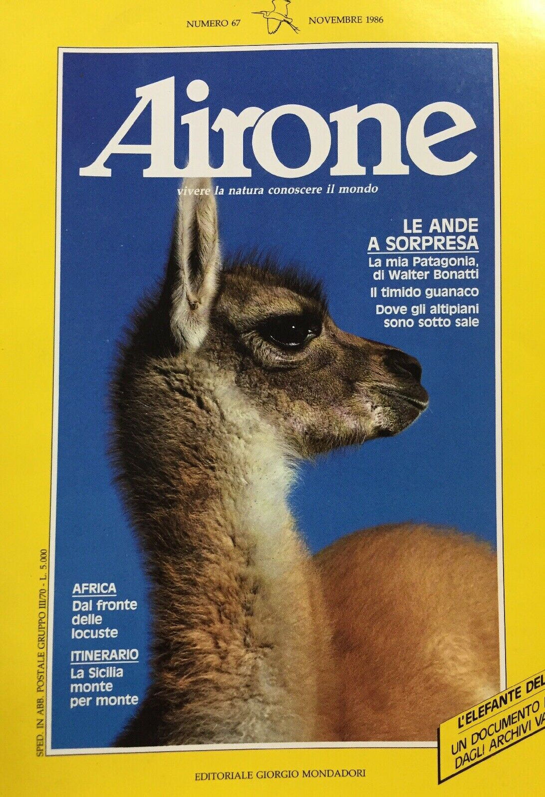 AIRONE N.67 NOVEMBRE 1986 J346