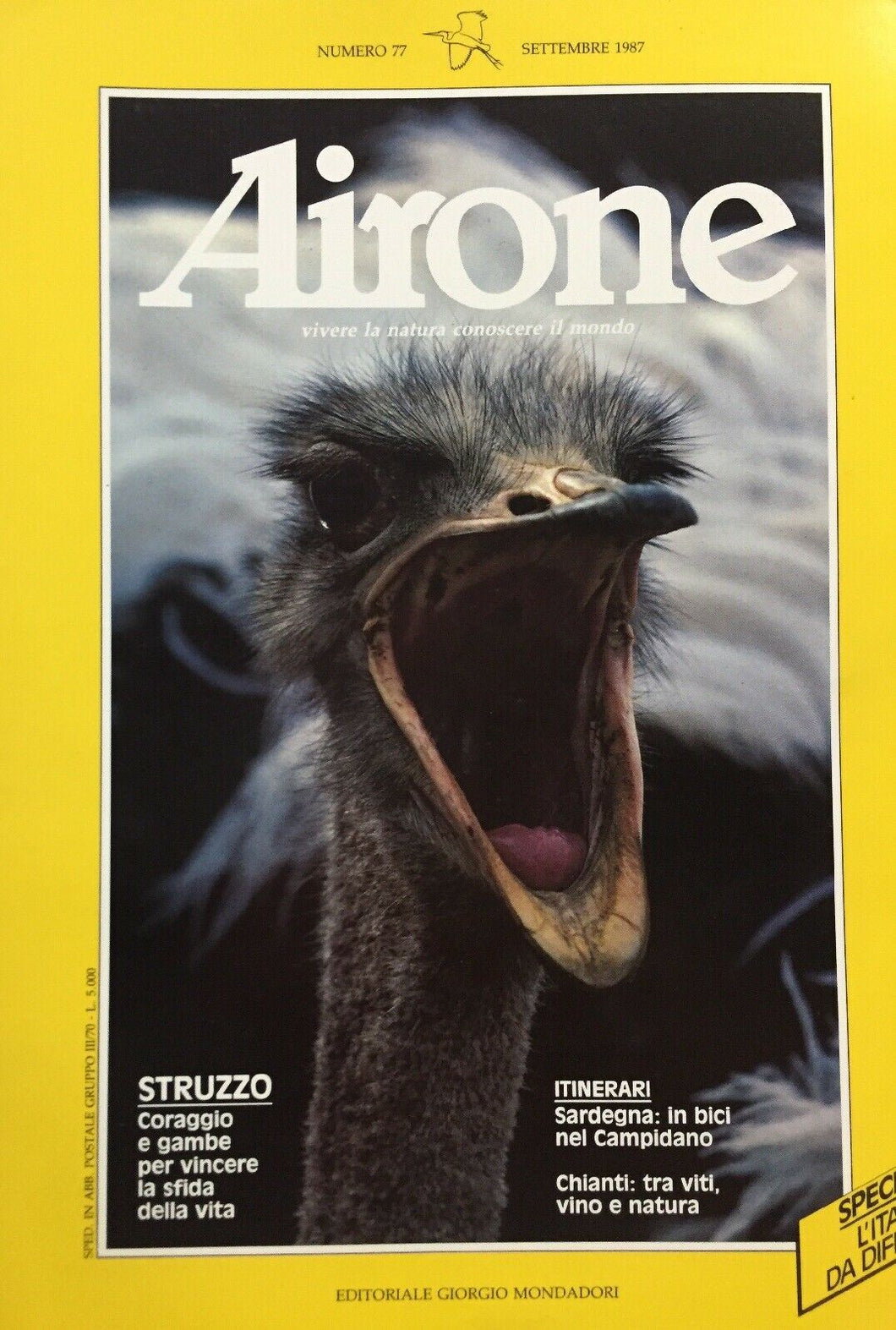 AIRONE N.77 SETTEMBRE 1987 J350