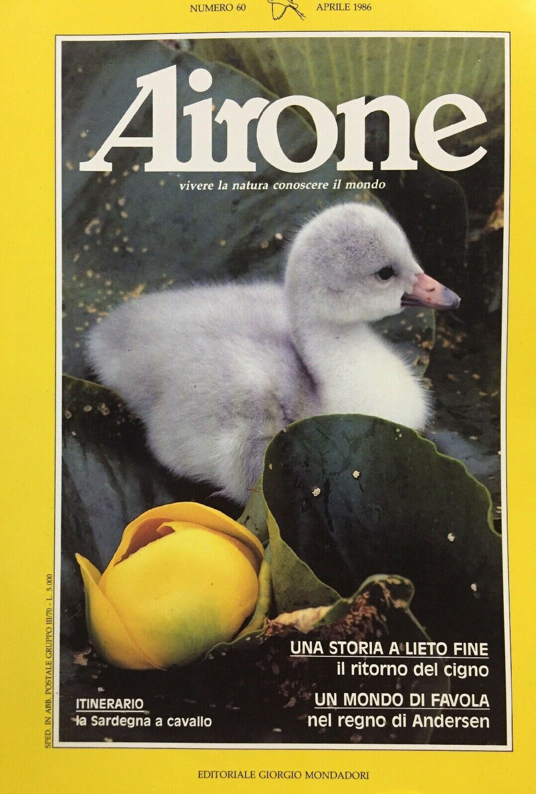AIRONE N.60 APRILE 1986 J352
