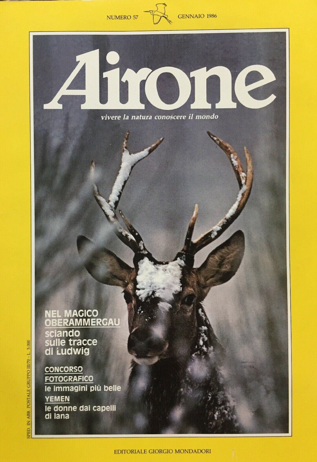AIRONE N.57 GENNAIO 1986 J355