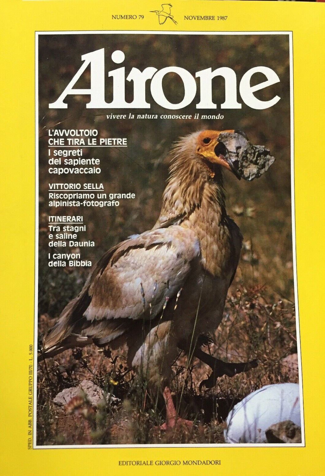 AIRONE N.79 NOVEMBRE 1987 J362