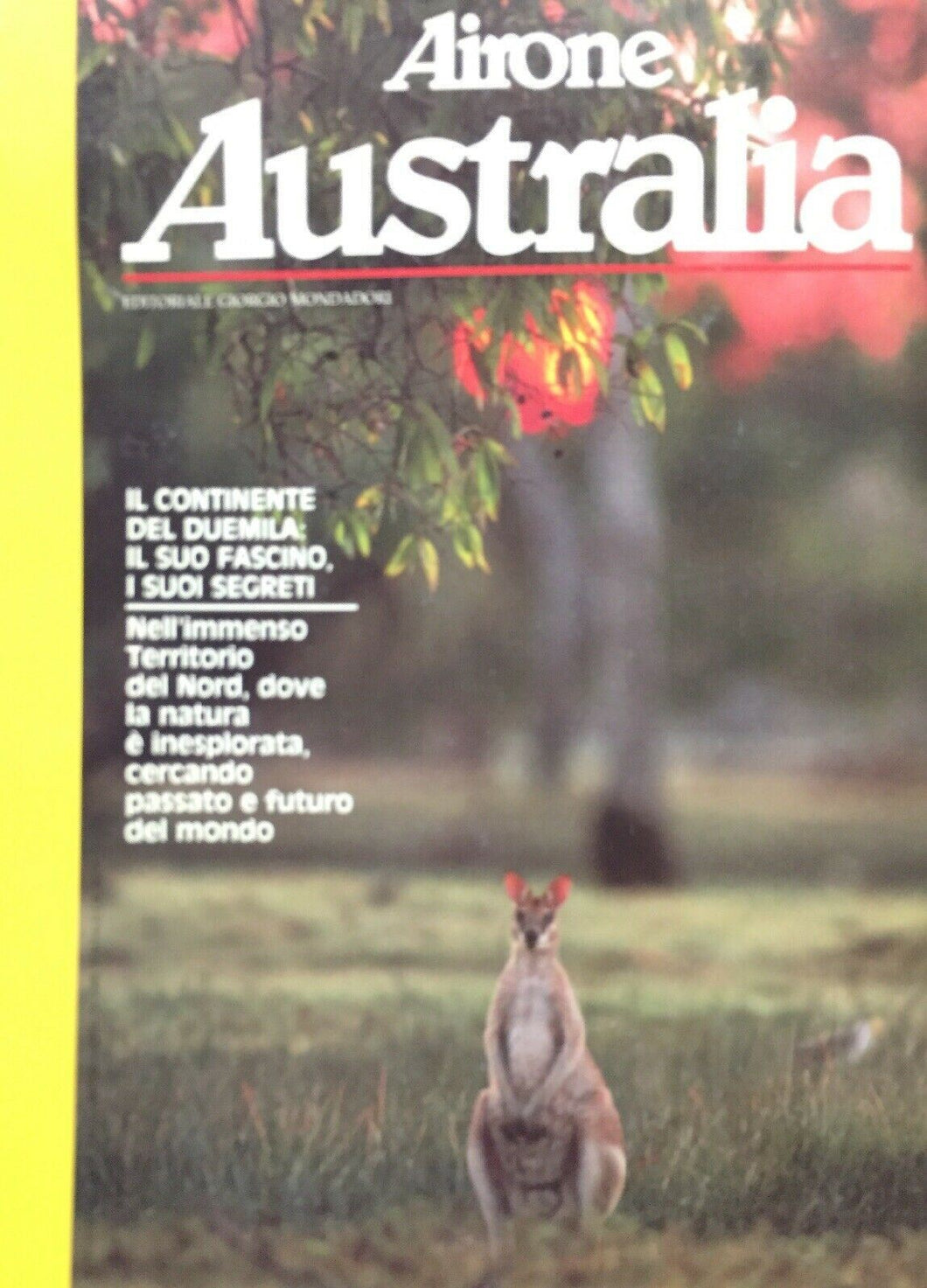 AIRONE SPECIALE AUSTRALIA GIUGNO 1987  J363