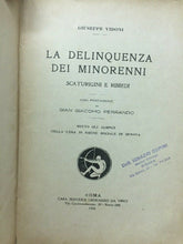 Carica l&#39;immagine nel visualizzatore di Gallery, LA DELINQUENZA DEI MINORENNI SCATURIGINI E RIMEDI G. VIDONI 1924 E96
