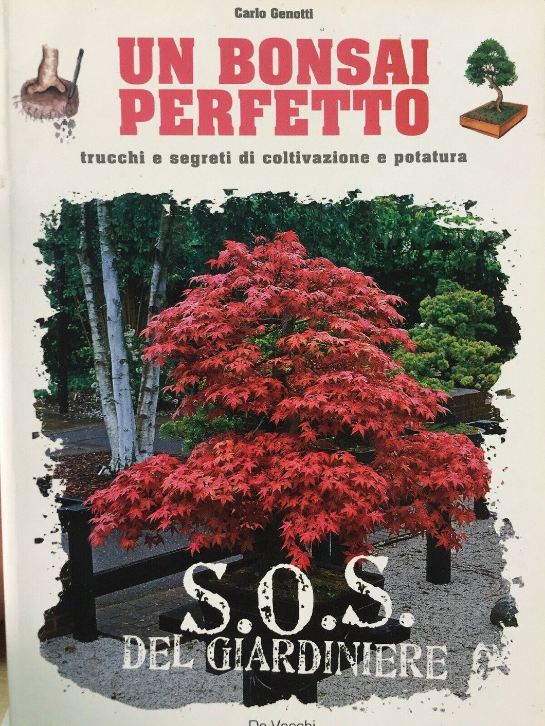 UN BONSAI PERFETTO TRUCCHI E SEGRETI DI COLTIVAZIONE E POTATURA J618