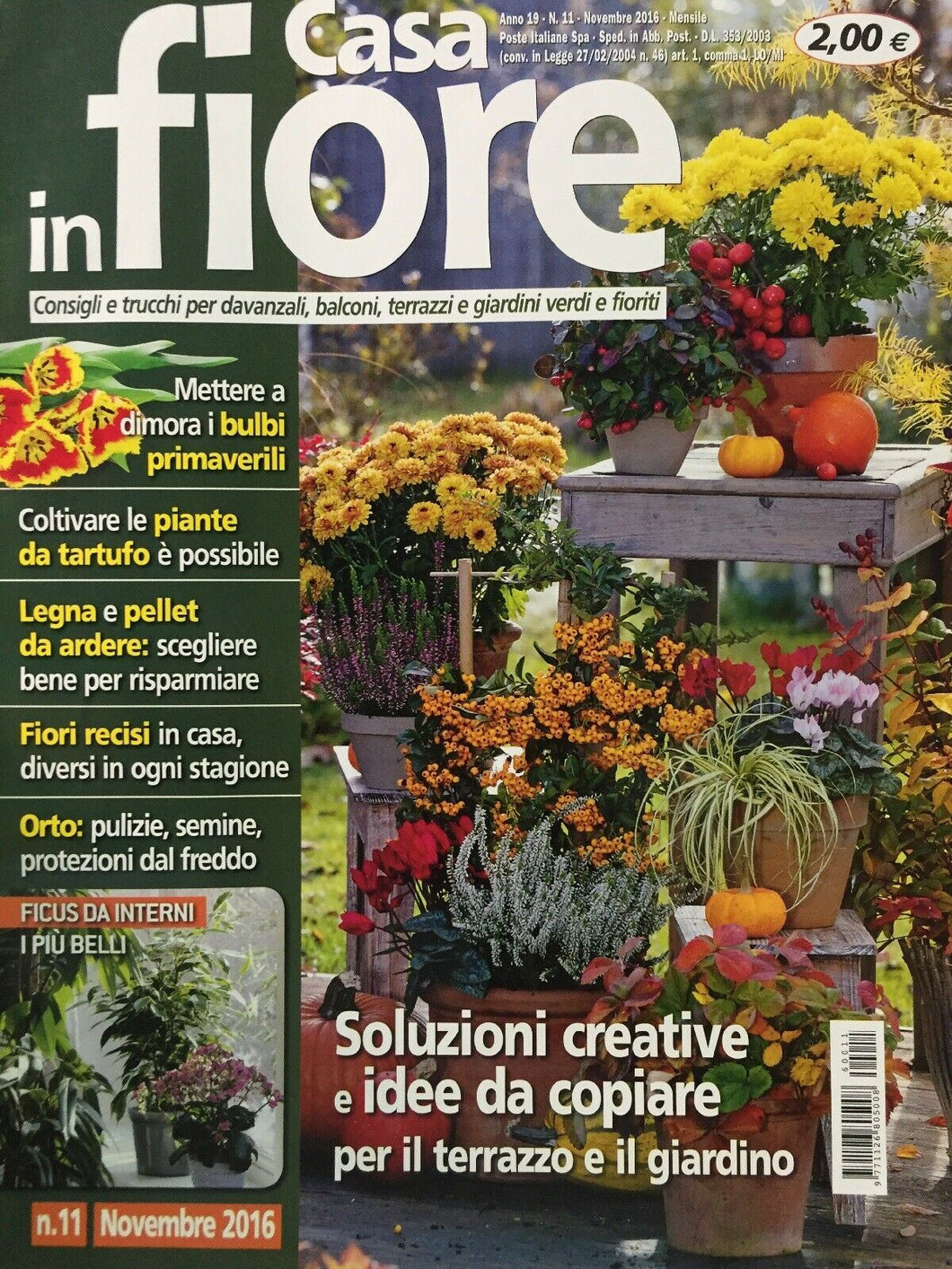 CASA IN FIORE NOVEMBRE 2016 J773