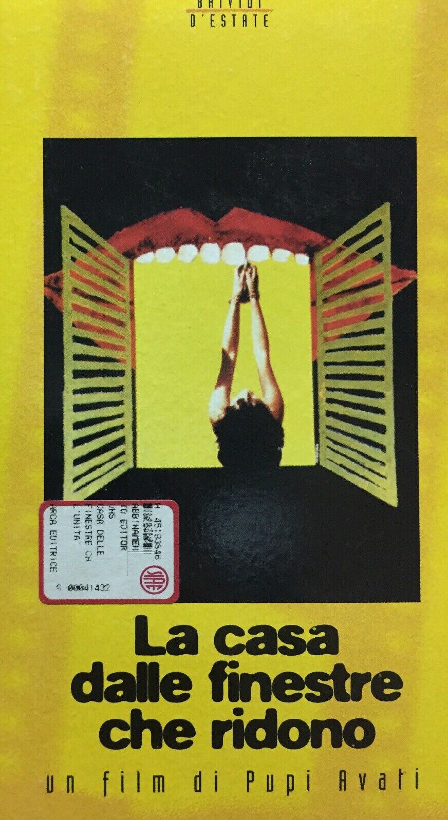 VHS LA CASA DALLE FINESTRE CHE RIDONO P. AVATI  K141