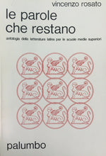 Carica l&#39;immagine nel visualizzatore di Gallery, LE PAROLE CHE RESTANO V. ROSATO PALUMBO 1984 M164
