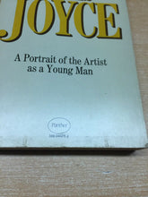 Carica l&#39;immagine nel visualizzatore di Gallery, THE PORTRAIT OF THE ARTIST AS A YOUNG MAN J. JOYCE PANTHER 1956 O376
