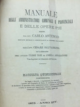 Carica l&#39;immagine nel visualizzatore di Gallery, MANUALE DEGLI AMMINISTRATORI COMUNALI E PROVINCIALI E DELLE OPERE PIE 1875 U698
