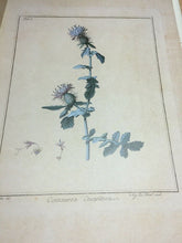 Carica l&#39;immagine nel visualizzatore di Gallery, FOLDER SEI DISEGNI DI DOMENICO CIRILLO M685
