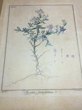 Carica l&#39;immagine nel visualizzatore di Gallery, FOLDER SEI DISEGNI DI DOMENICO CIRILLO M685
