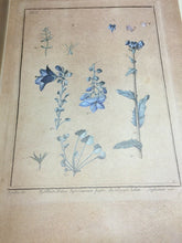Carica l&#39;immagine nel visualizzatore di Gallery, FOLDER SEI DISEGNI DI DOMENICO CIRILLO M685
