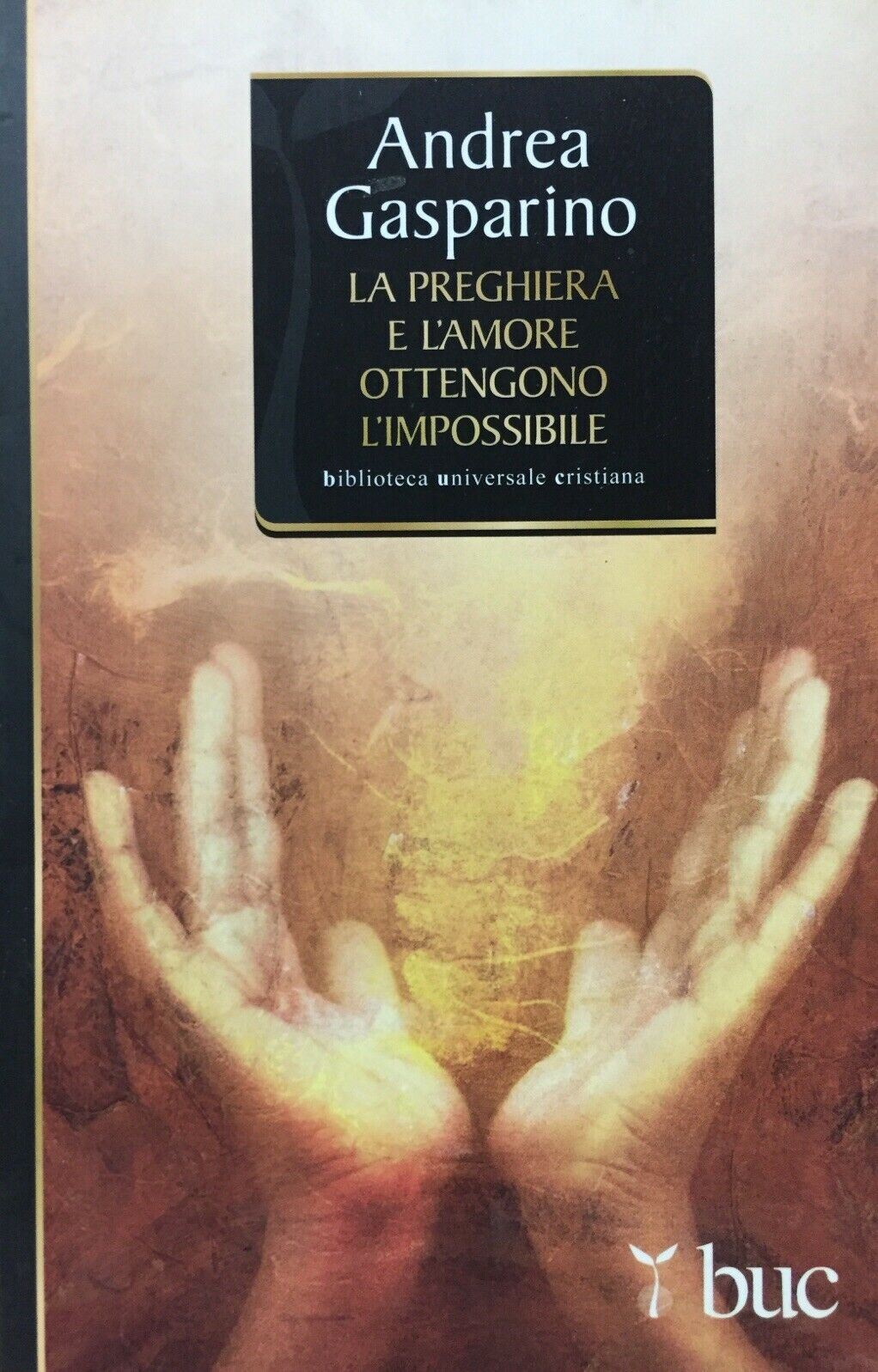 LA PREGHIERA E L’AMORE OTTENGONO L’IMPOSSIBILE A. GASPARINO J678