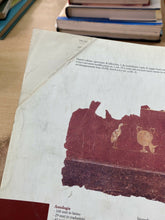 Carica l&#39;immagine nel visualizzatore di Gallery, LETTERATURA E STORIA DI ROMA ANTICA CANTARELLA GUIDORIZZI  T216
