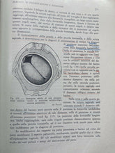 Carica l&#39;immagine nel visualizzatore di Gallery, OSTETRICIA E GINECOLOGIA VOL. I MORACCI IDELSON Y14
