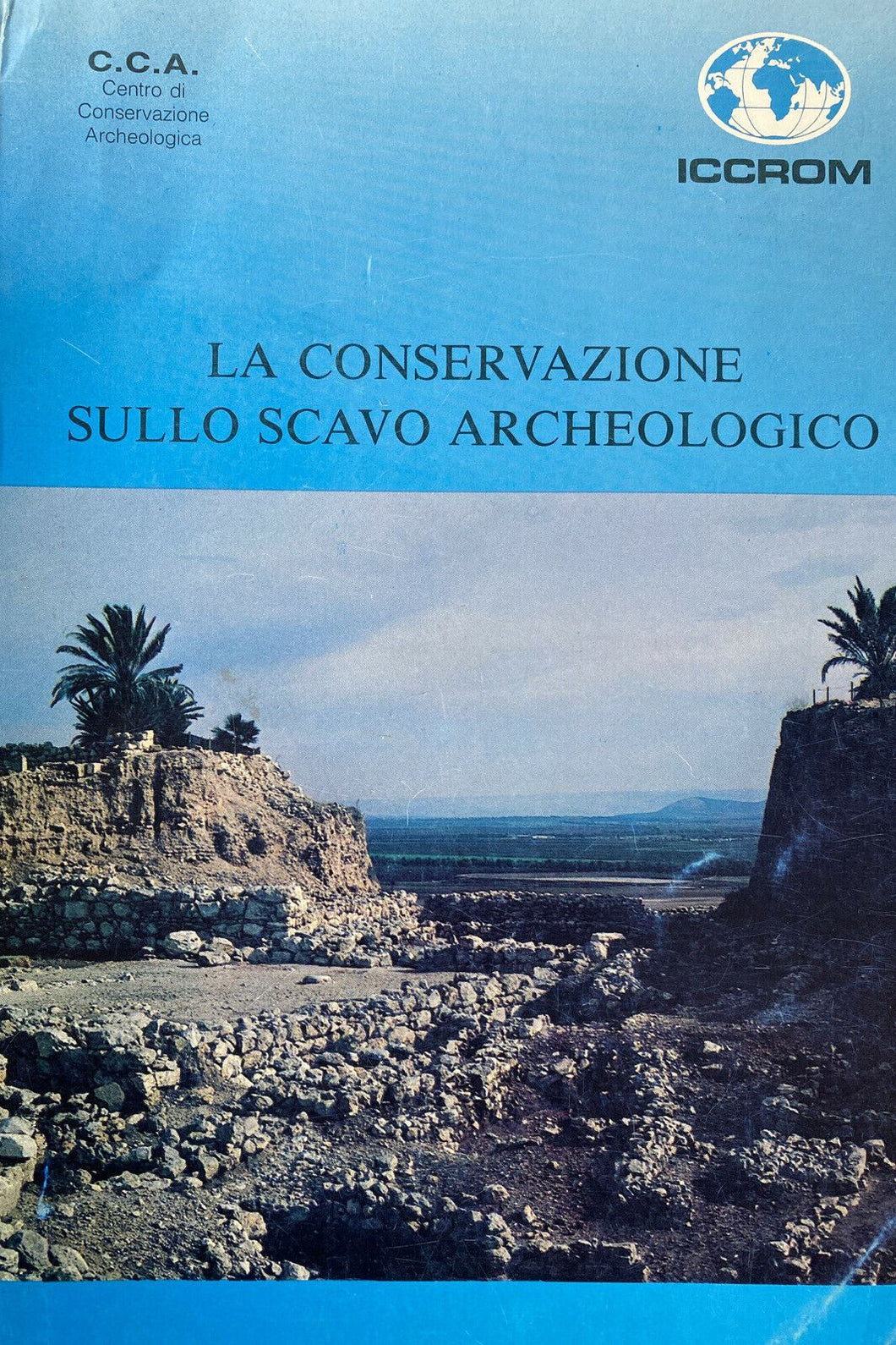 LA CONSERVAZIONE SULLO SCAVO ARCHEOLOGICO Z66