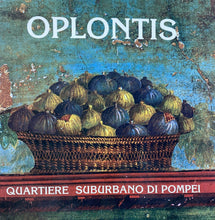 Carica l&#39;immagine nel visualizzatore di Gallery, OPLONTIS QUARTIERE SUBURBANO DI POMPEI Z202
