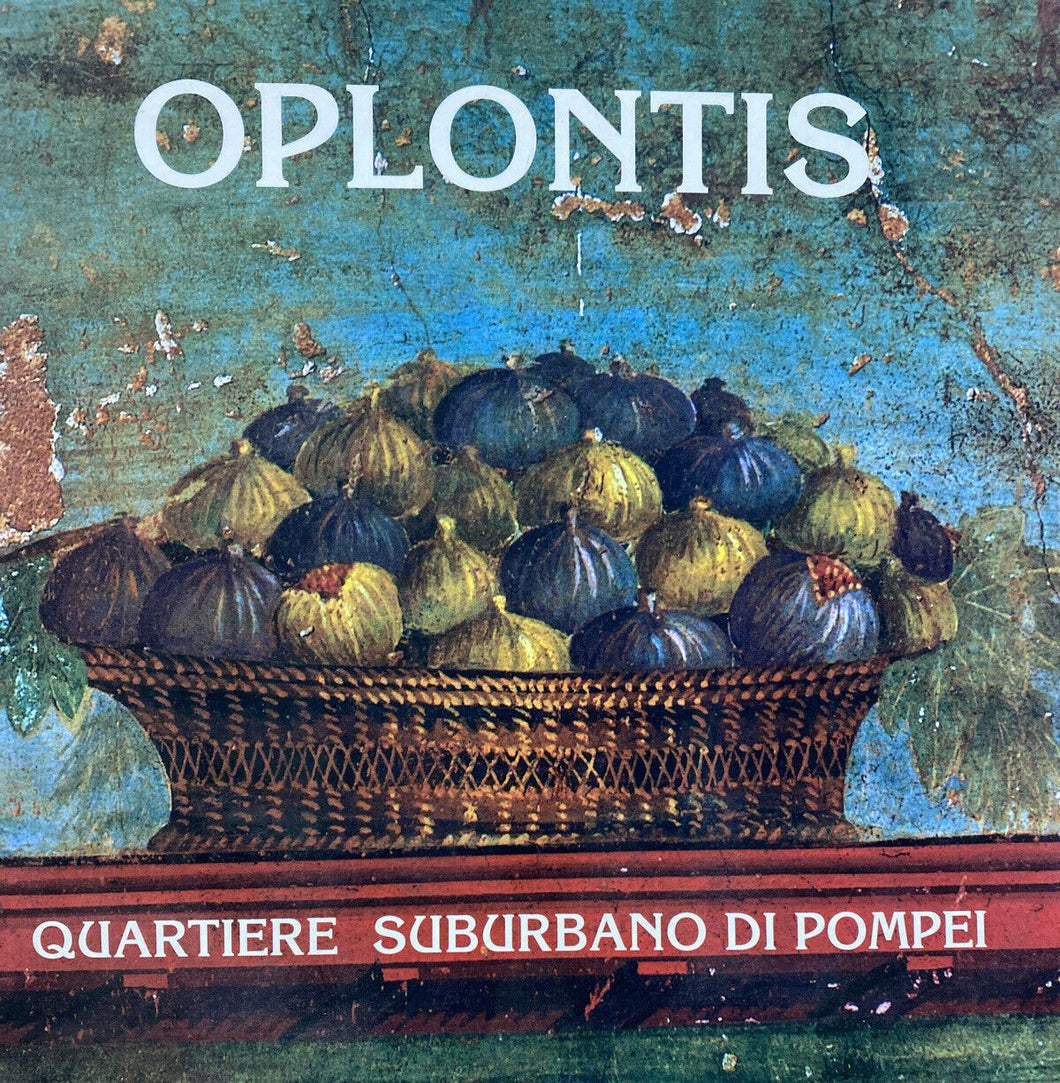 OPLONTIS QUARTIERE SUBURBANO DI POMPEI Z202
