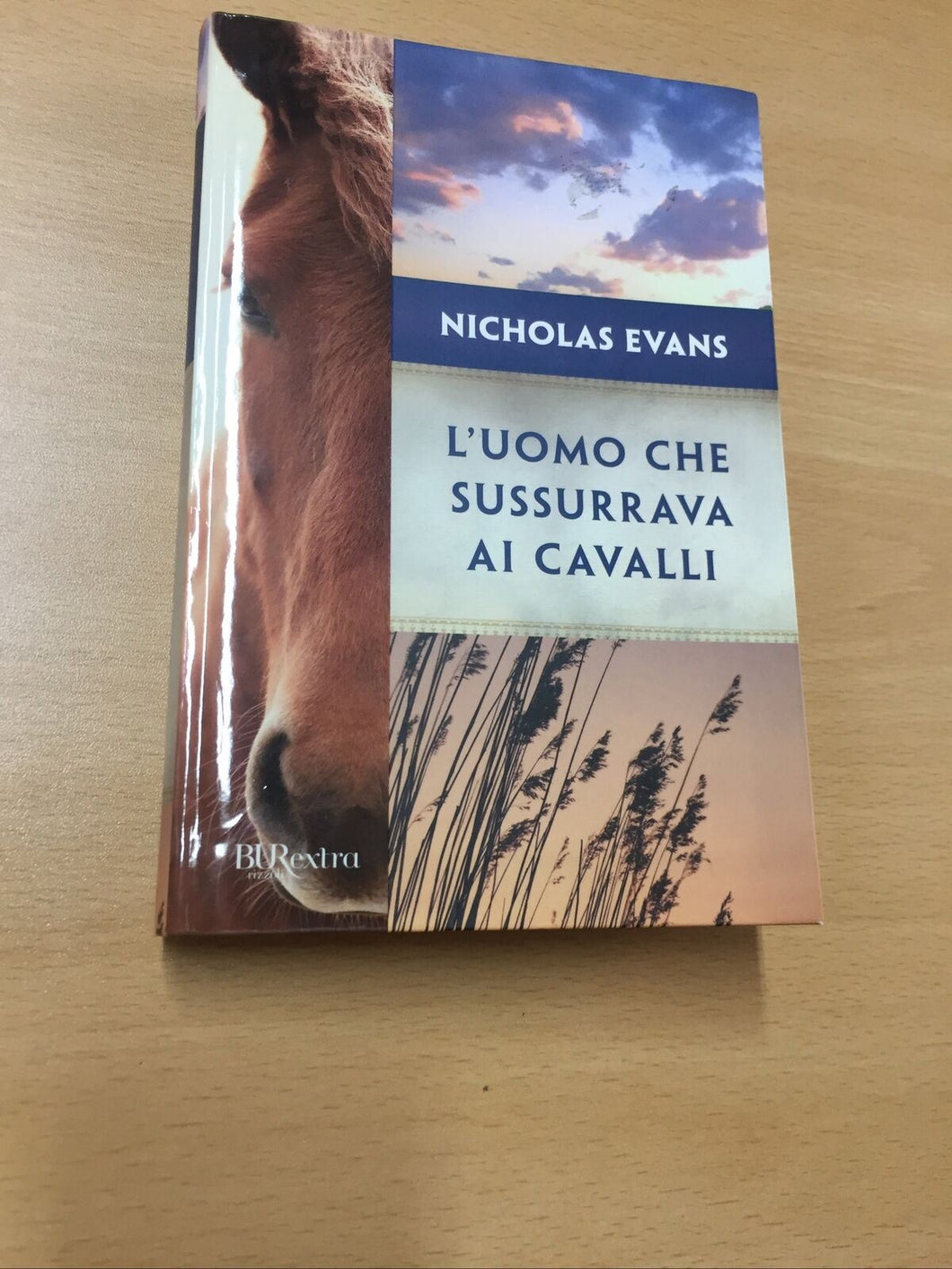 L’UOMO CHE SUSSURRAVA AU CAVALLI NICHOLAS EVANS AB253