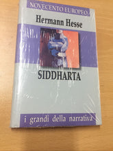 Carica l&#39;immagine nel visualizzatore di Gallery, SIDDHARTA HERMANN HESSE AB283
