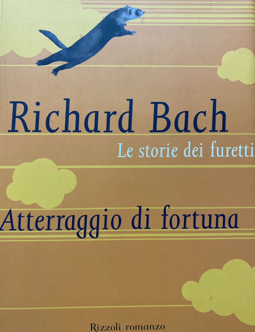 ATTERRAGGIO DI FORTUNA LE STORIE DEI FURETTI R. BACH BA123