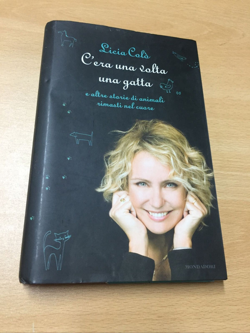 C’ERA UNA VOLTA UNA GATTA LICIA CALÓ AB495