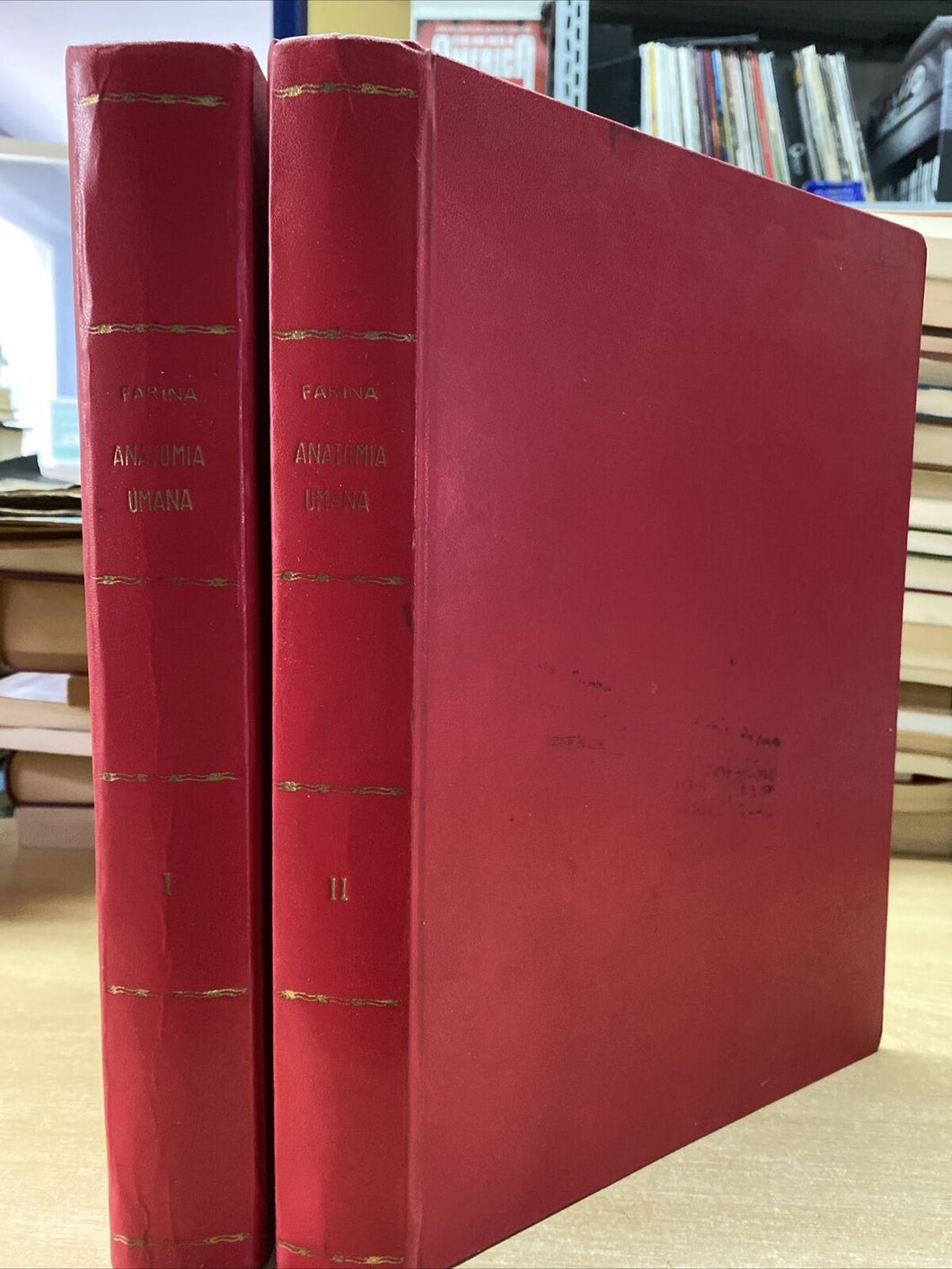 ATLANTE DI ANATOMIA UMANA DESCRITTIVA A. FARINA 2 VOLL. BA295