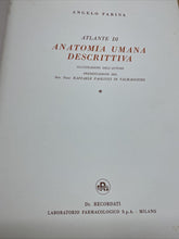 Carica l&#39;immagine nel visualizzatore di Gallery, ATLANTE DI ANATOMIA UMANA DESCRITTIVA A. FARINA 2 VOLL. BA295
