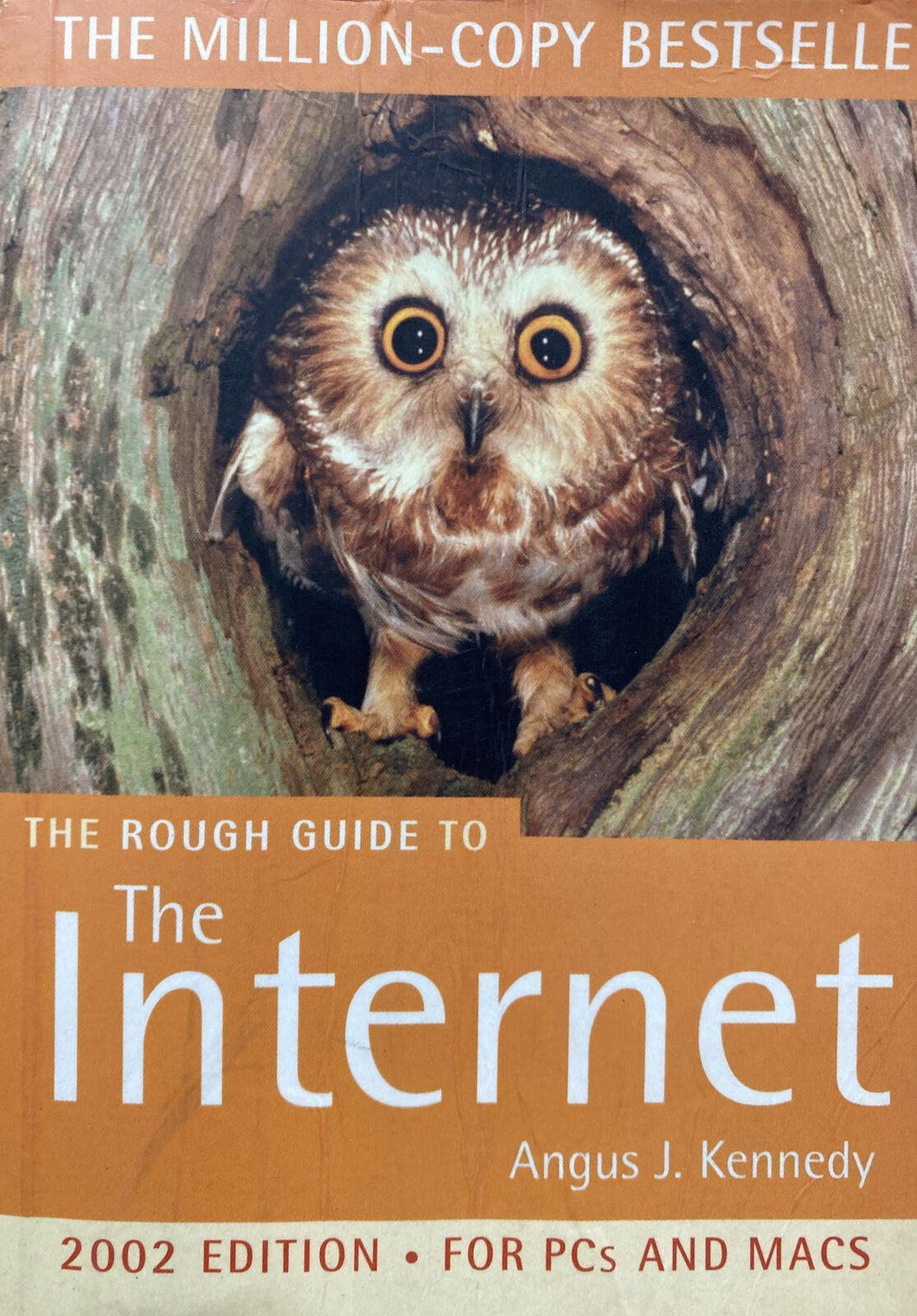 THE ROUGH GUIDE TO THE INTERNET 2002 A. J. Kennedy  BB104