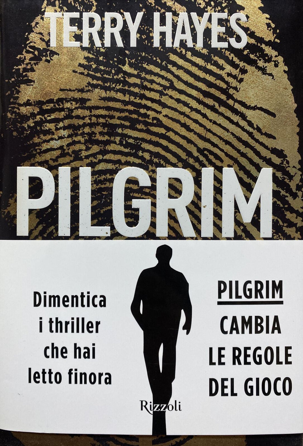 PILGRIM T. HAYES  I ED. 2013 BB153