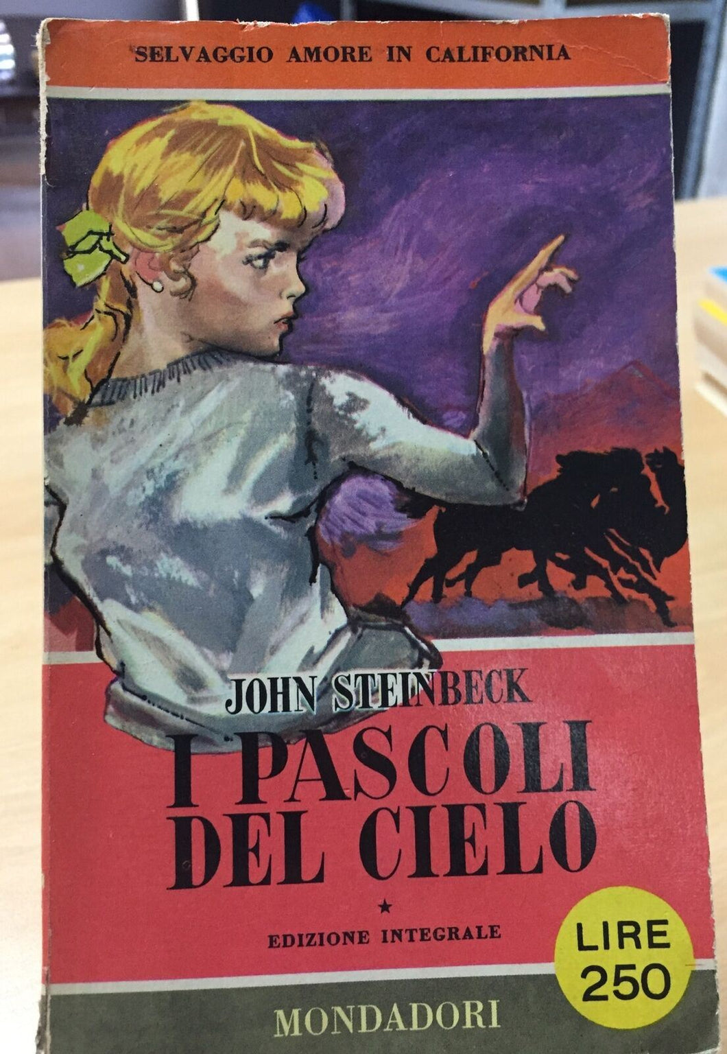 I PASCOLI DEL CIELO JOHN STEINBECK  AE479