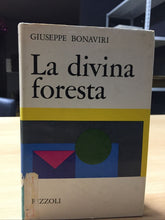 Carica l&#39;immagine nel visualizzatore di Gallery, LA DIVINA FORESTA GIUSEPPE BONAVIRI AE496
