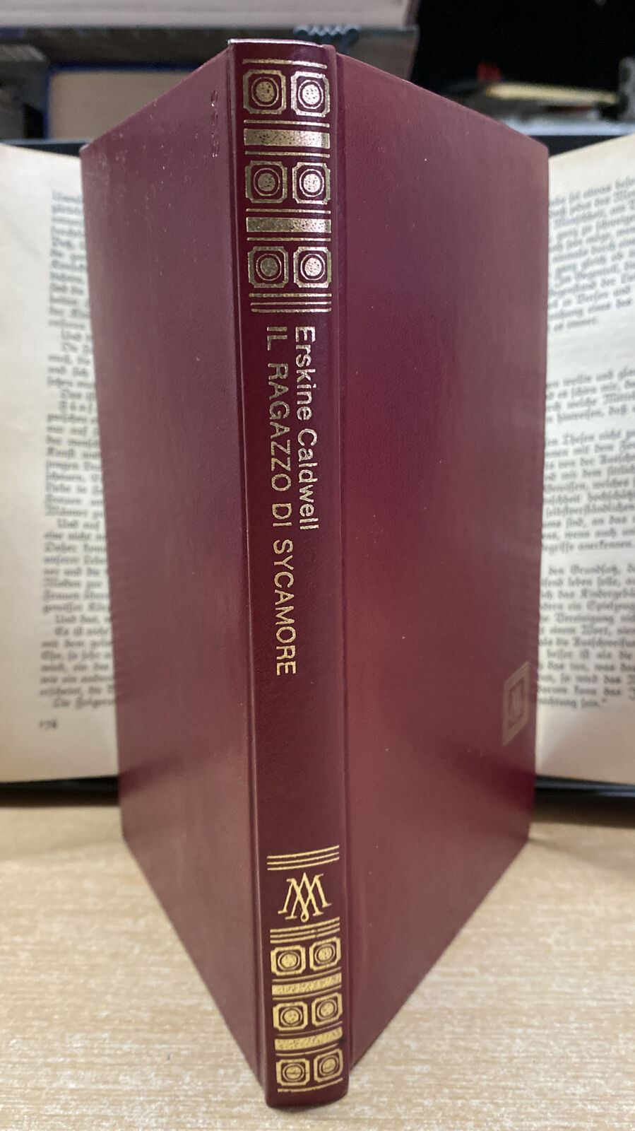 IL RAGAZZO DI SYCAMORE E. CALDWELL I LIBRI DEL PAVONE BB409