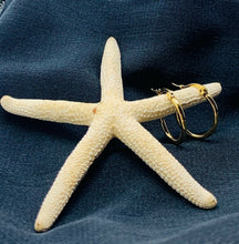 Carica l&#39;immagine nel visualizzatore di Gallery, ORECCHÌNI CERCHIO col. ORO SET DI 3 JEW06
