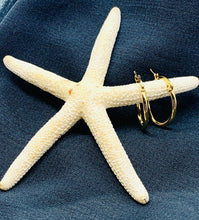 Carica l&#39;immagine nel visualizzatore di Gallery, ORECCHÌNI CERCHIO col. ORO SET DI 3 JEW06
