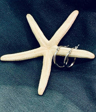 Carica l&#39;immagine nel visualizzatore di Gallery, ORECCHÌNI CERCHIO col. ARGENTO SET DI 3  JEW07
